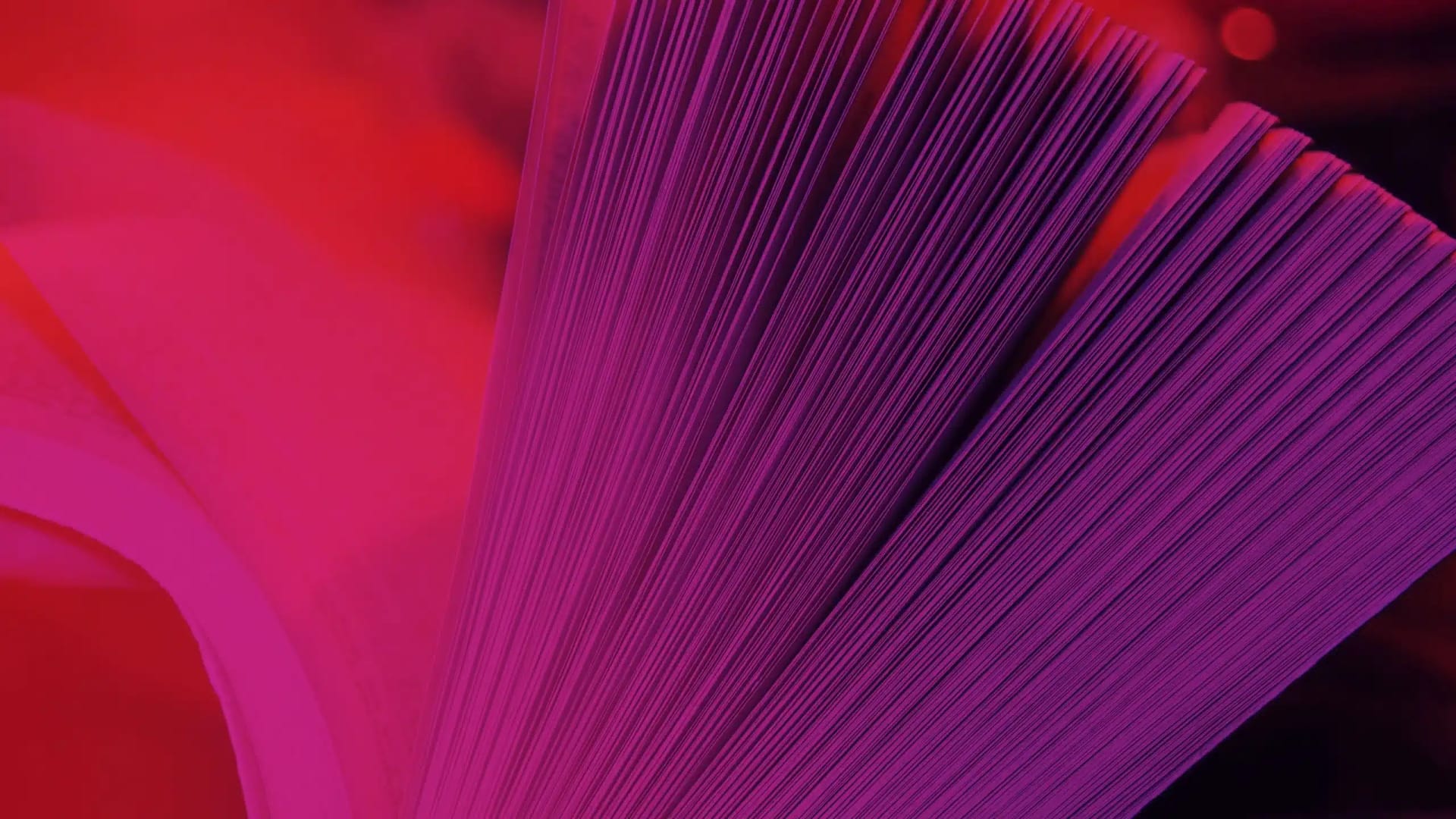 Rafael Inglada 'Recuerdos personales de Dardo’