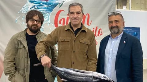 Campaña Gijón Bonito