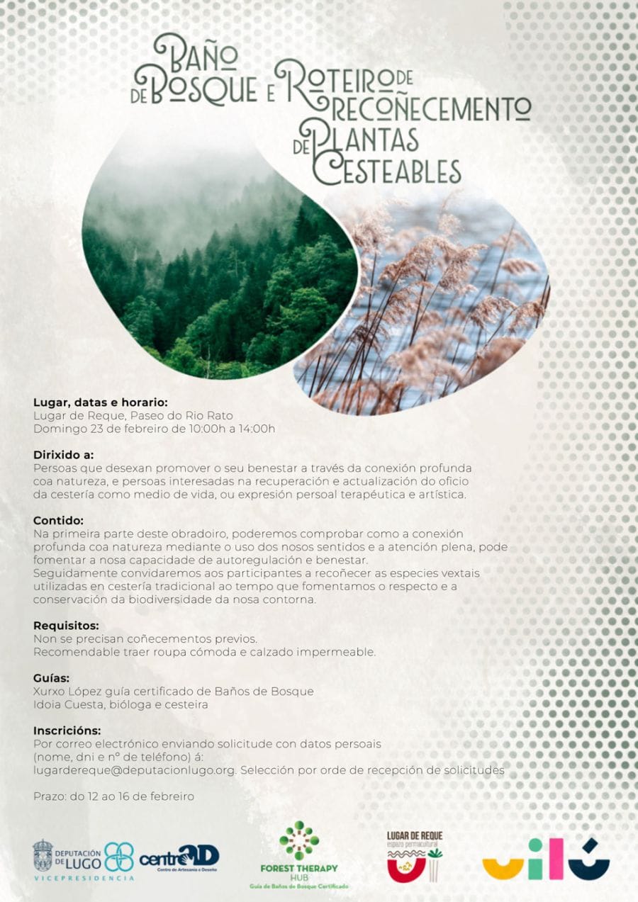 Obradoiro de Cestería