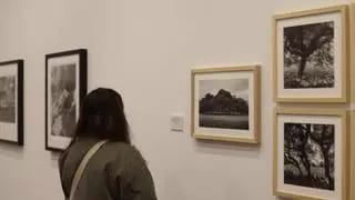 Visita temática 'El futuro de los museos en comunidades en constante cambio'