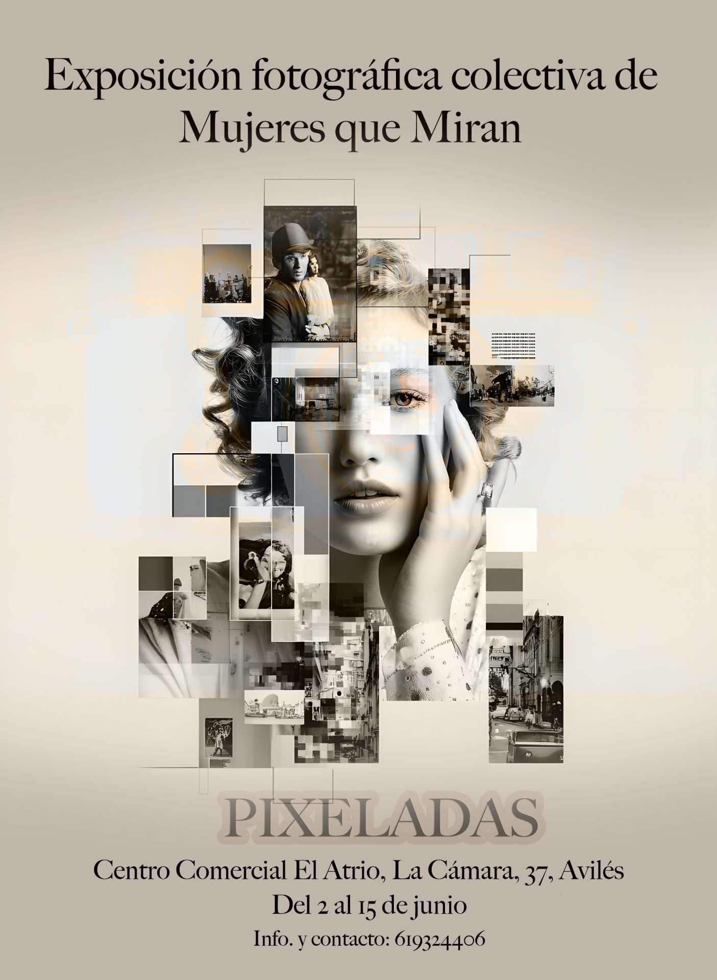 Exposición «Pixeladas»