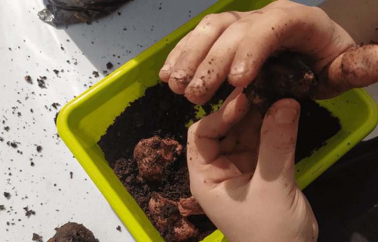 Taller de llavors