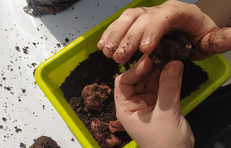 Taller de llavors