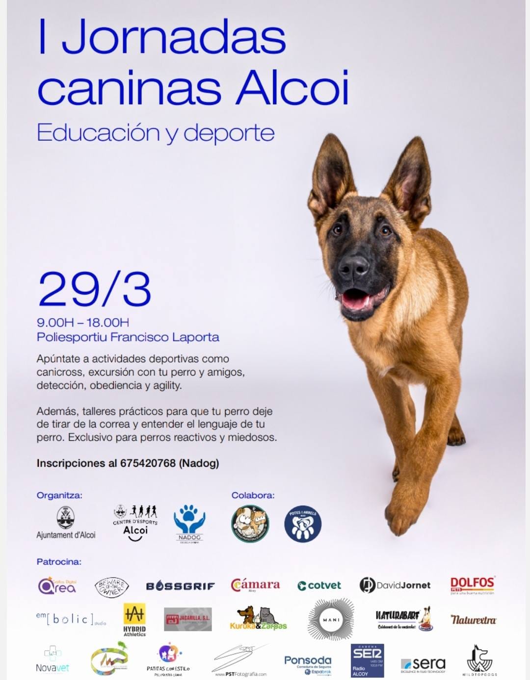 I Jornadas caninas Alcoy