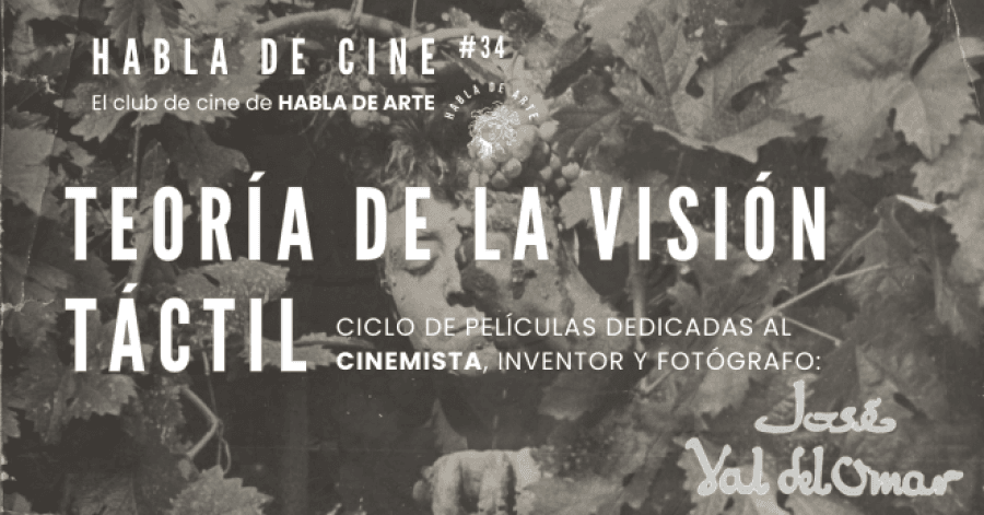 Habla de Cine #34 Teoría de la visión táctil · Sesión 2