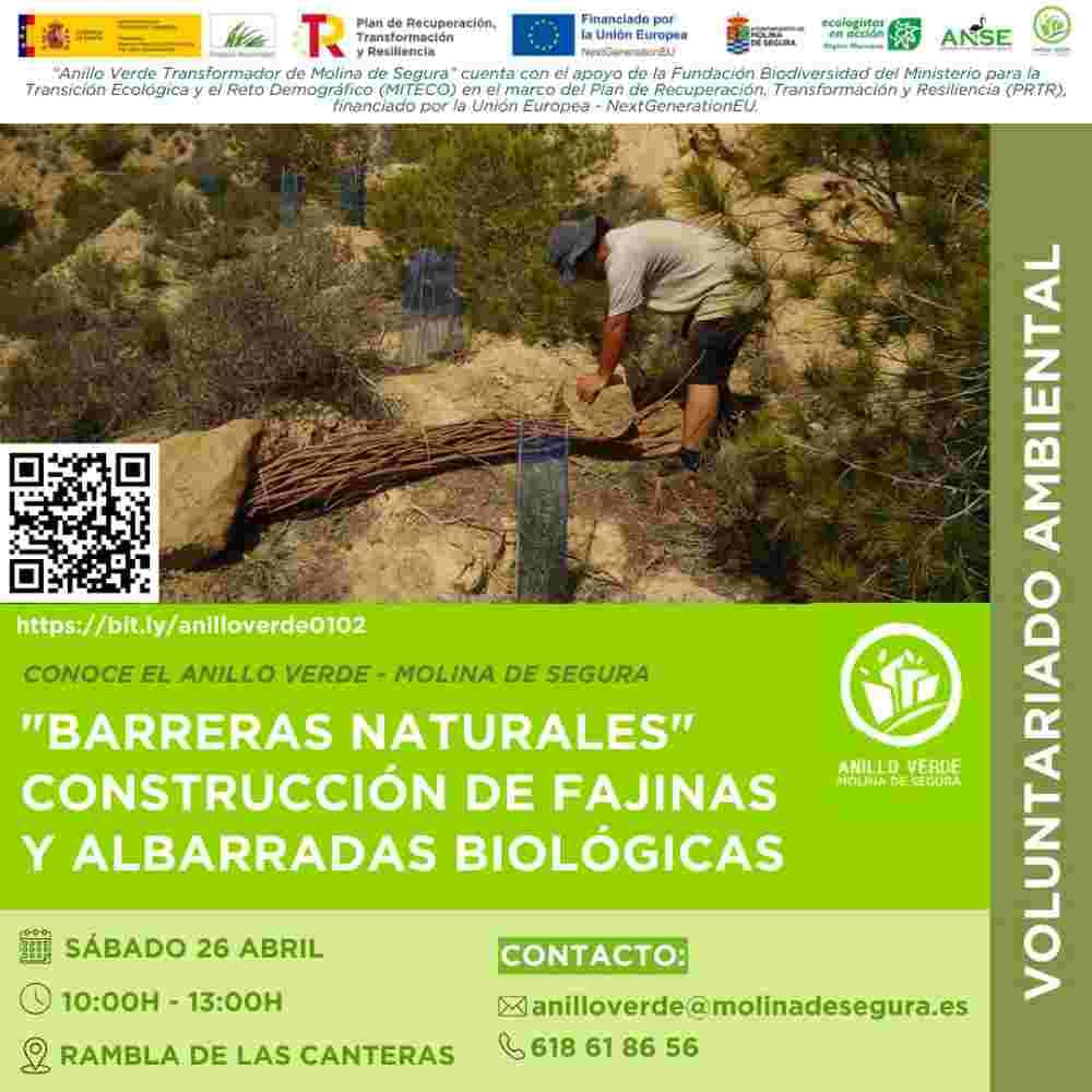 Voluntariado ambiental: “Barreras naturales” en el Anillo Verde Transformador