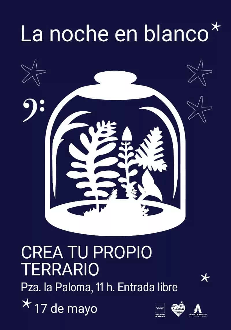 Ciencia divertida: Crea tu propio terrario