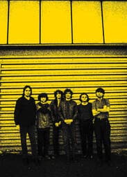 Stuffed Foxes en concierto