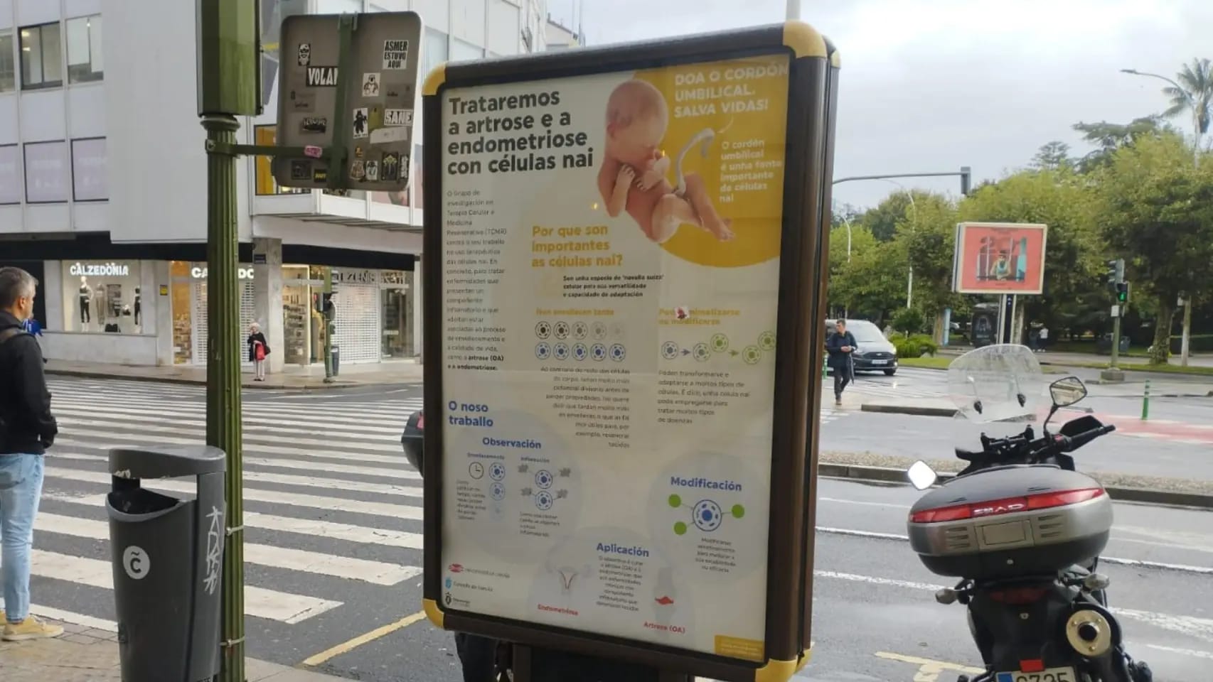 La ciencia de la Universidade de A Coruña llega a las marquesinas de la ciudad