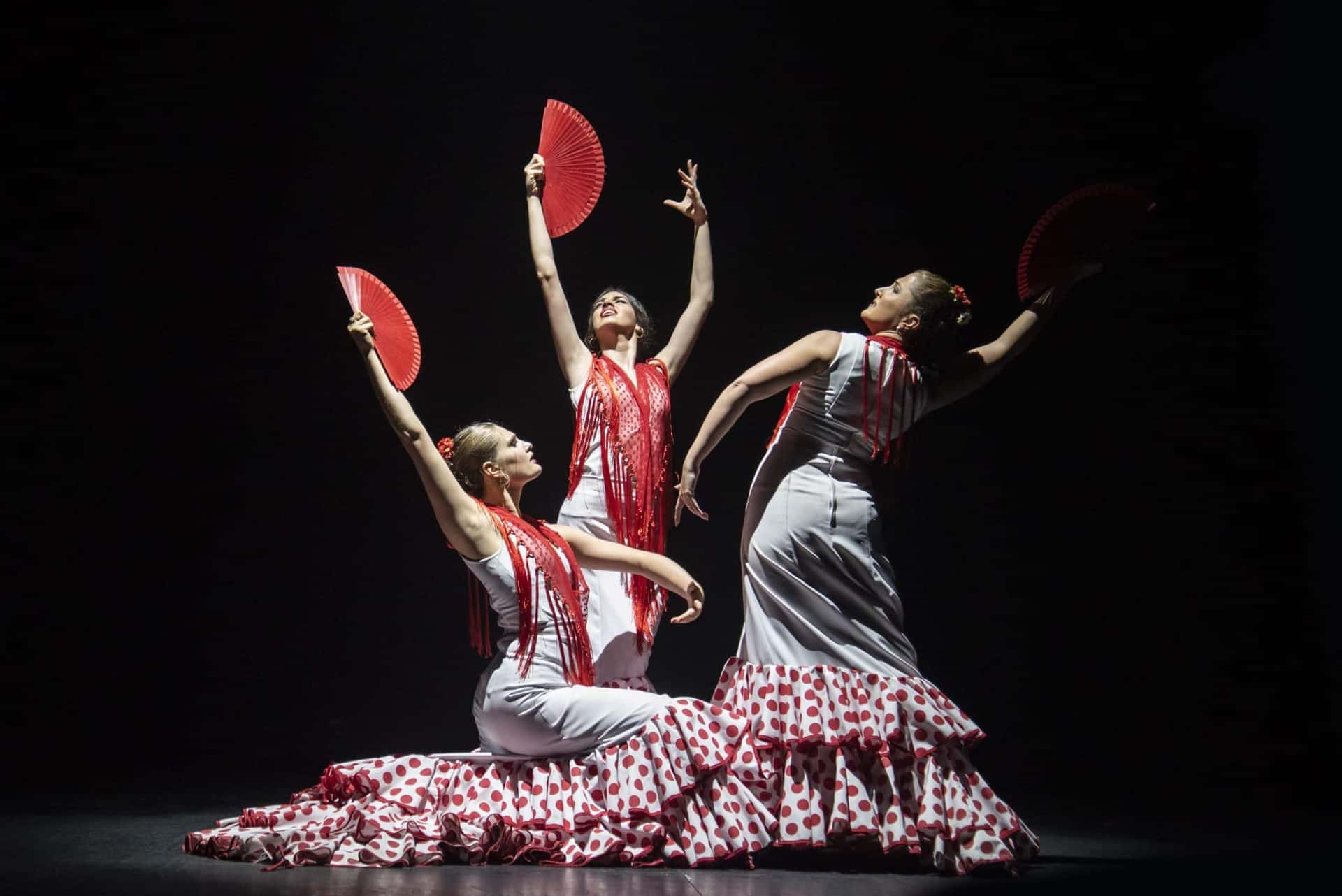 CONCURSO CANTERA FLAMENCA: ESCUELA BOLERA, CANTE Y TOQUE
