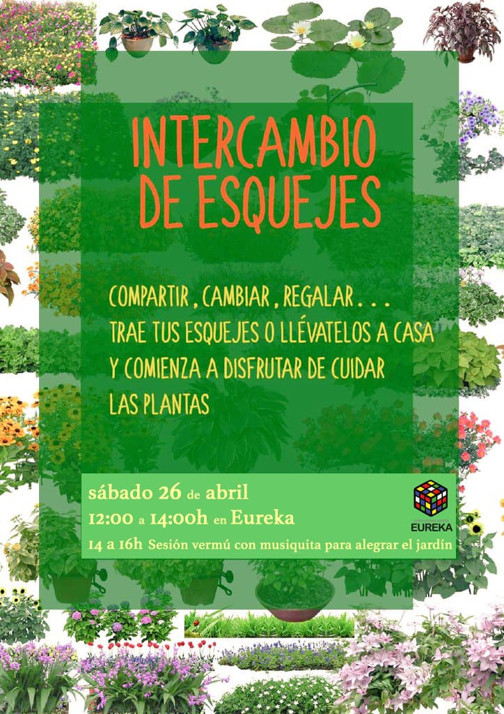 Intercambio de esquejes en Eureka