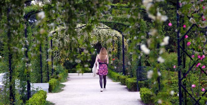 La Rosaleda de El Retiro