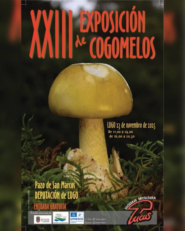 XXIII Exposición de Cogomelos