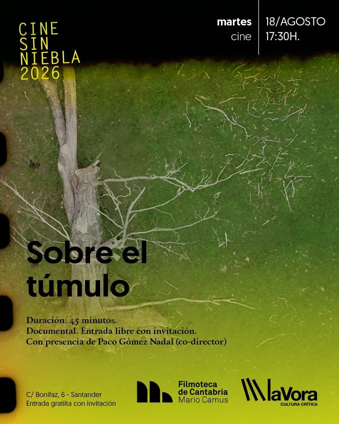 Cine sin Niebla 2026: Sobre el túmulo