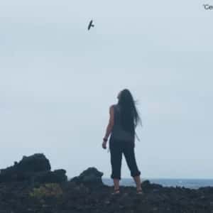 Txoriastea: Proyección de 'Centinelas del viento'