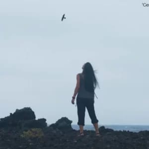 Txoriastea: Proyección de 'Centinelas del viento'