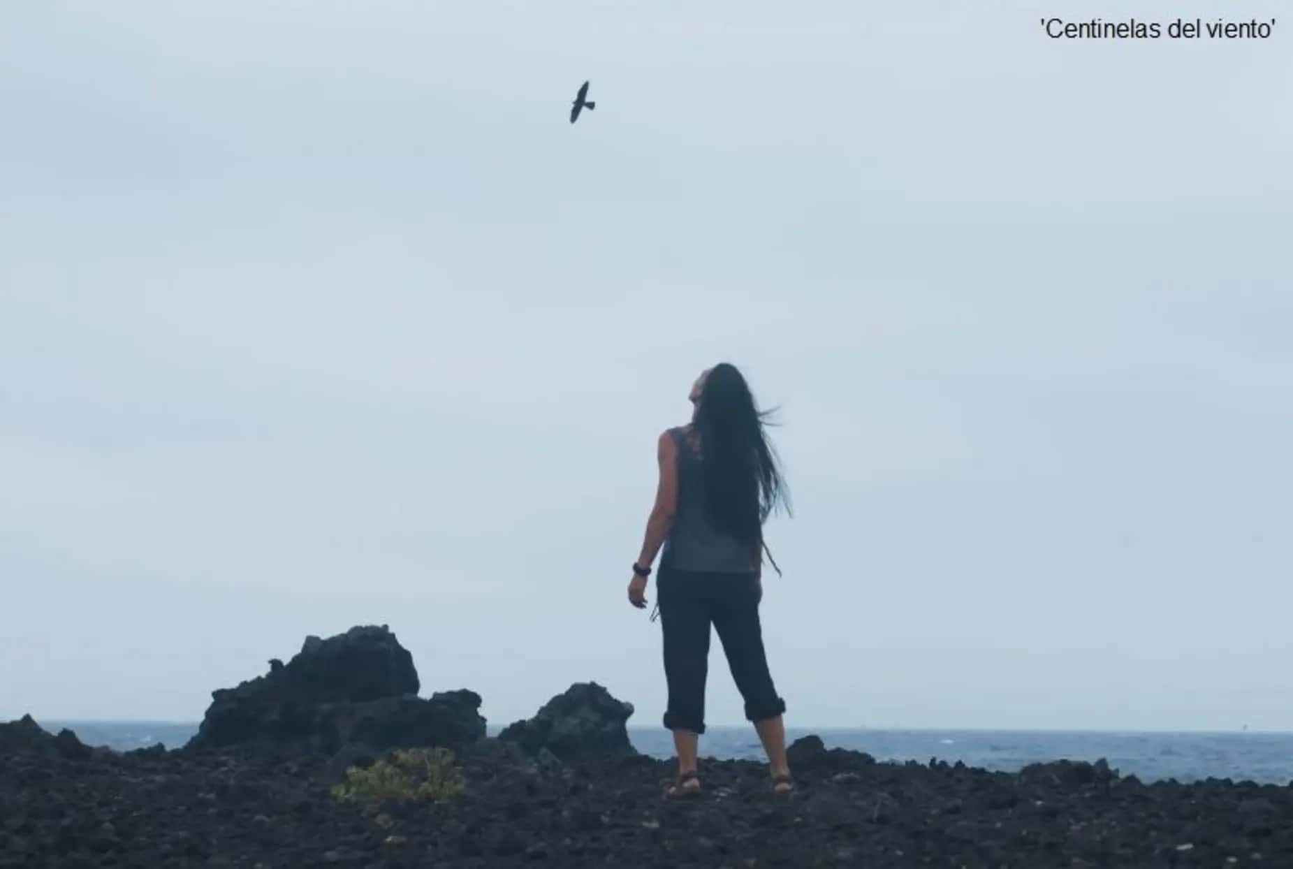 XIII edición del ciclo de cine medioambiental Txoriastea
