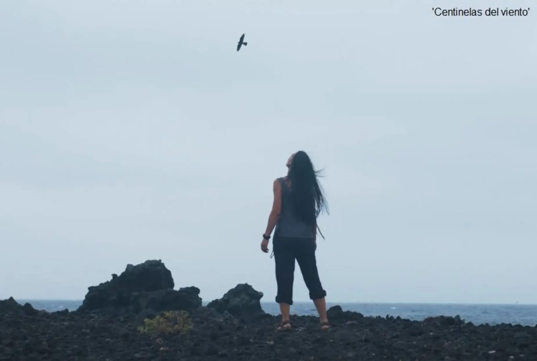 XIII edición del ciclo de cine medioambiental Txoriastea