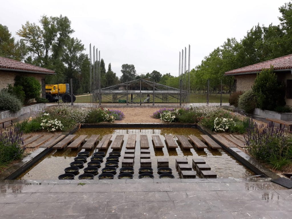 Celebra el día del árbol, creando tu bosque