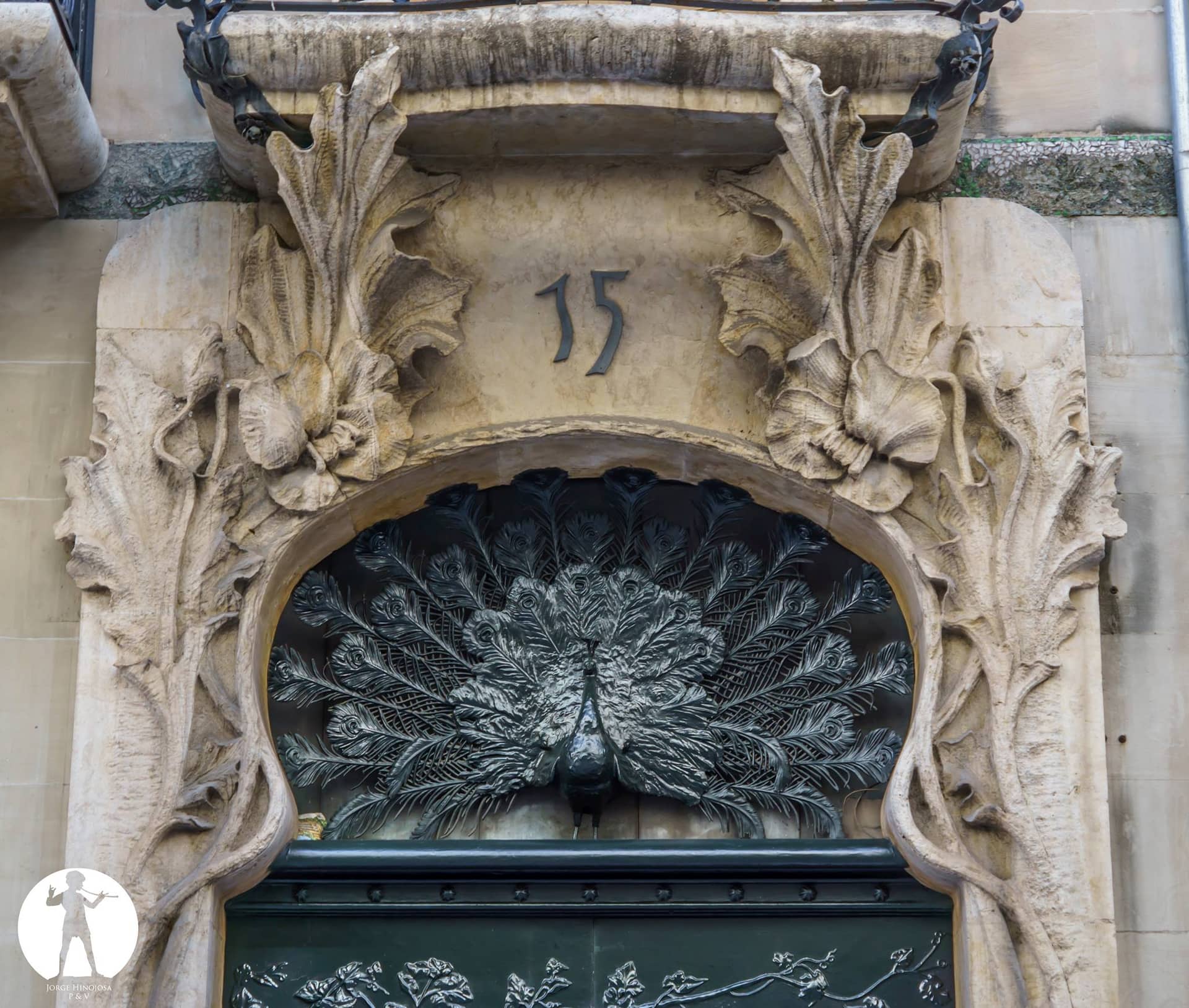 Estudio Casa del Pavo