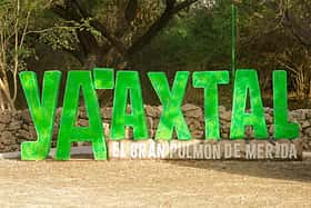 El Chopo Yucateco