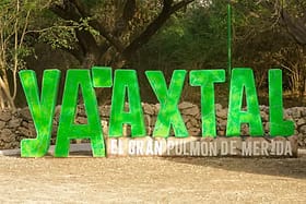 El Chopo Yucateco