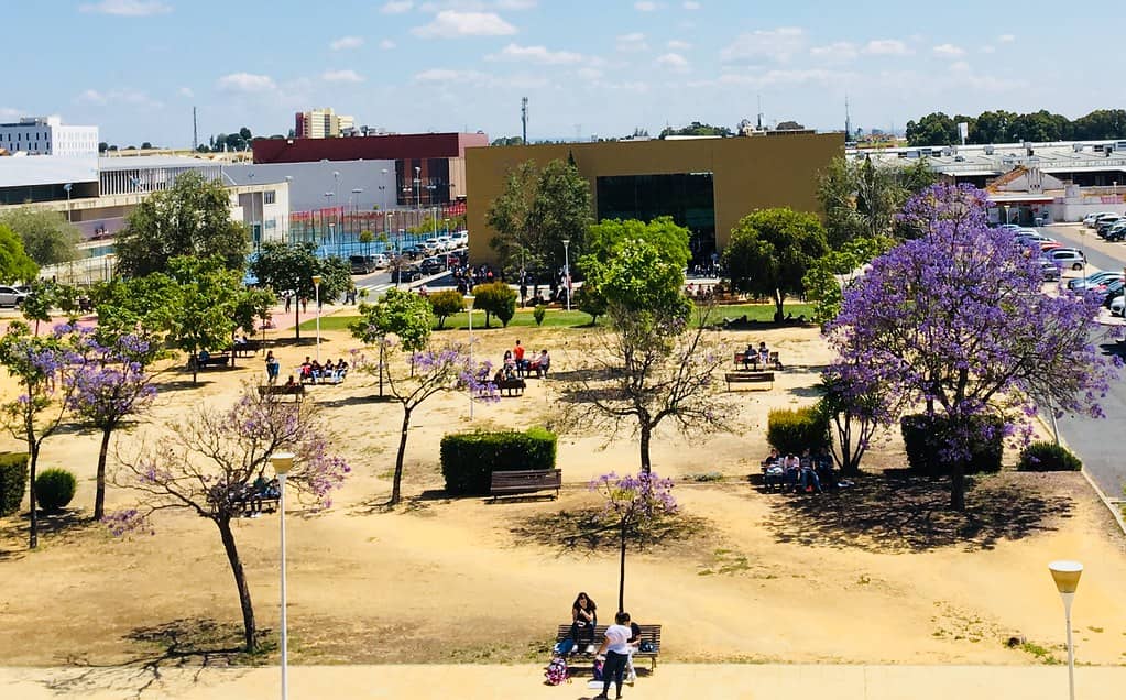 Campus de El Carmen