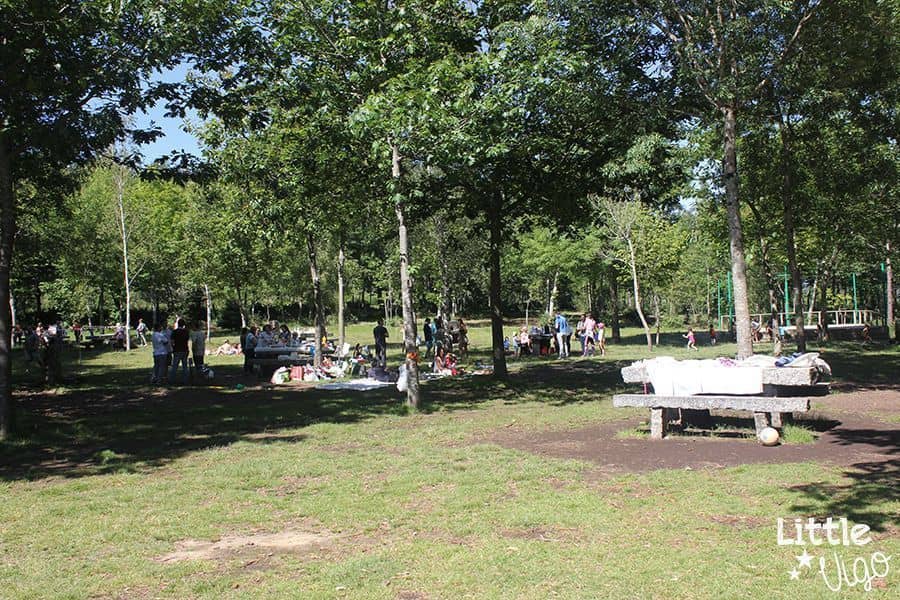 Parque Forestal do Vixiador