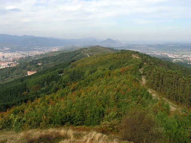 Orientzaioproba