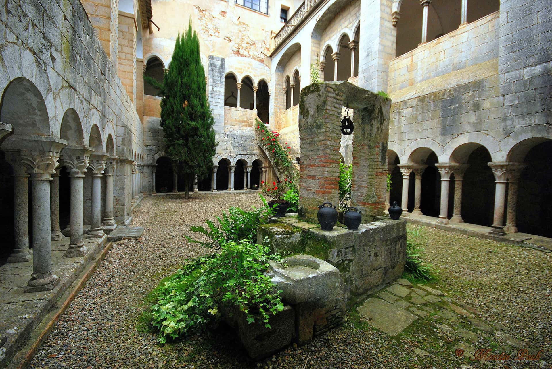 Visita guiada al Monasterio de Sant Daniel