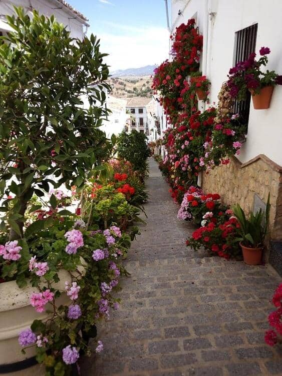 Patio de la Casa de las Flores