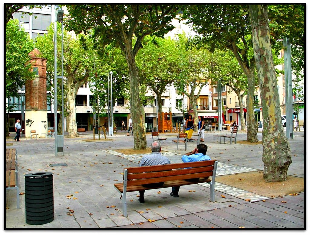 Mercat de productes ecològics i de proximitat