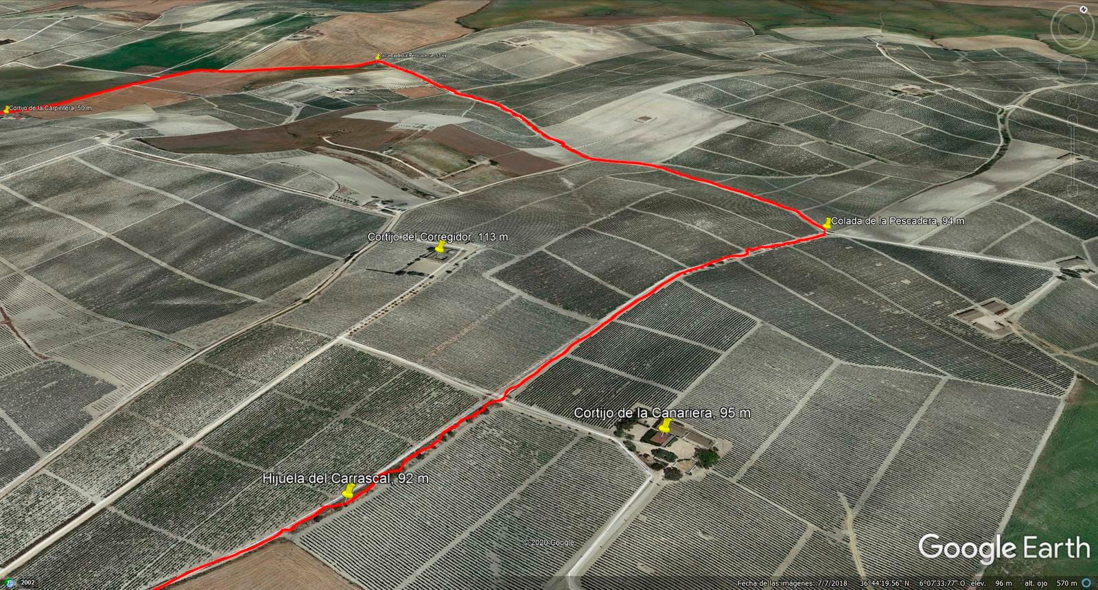 Ruta senderista entre viñedos