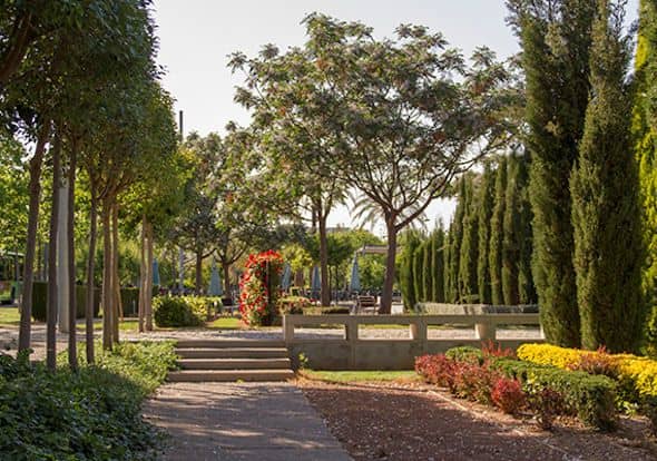 Parque de Rafalafena