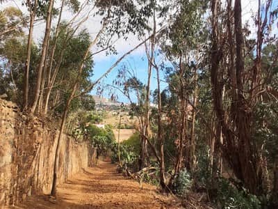 Camino Tornero