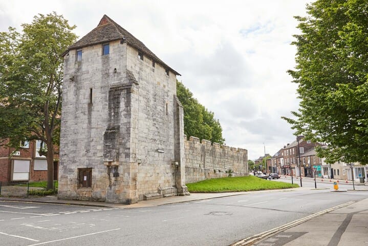 Wildflower event at Fishergate Postern Tower