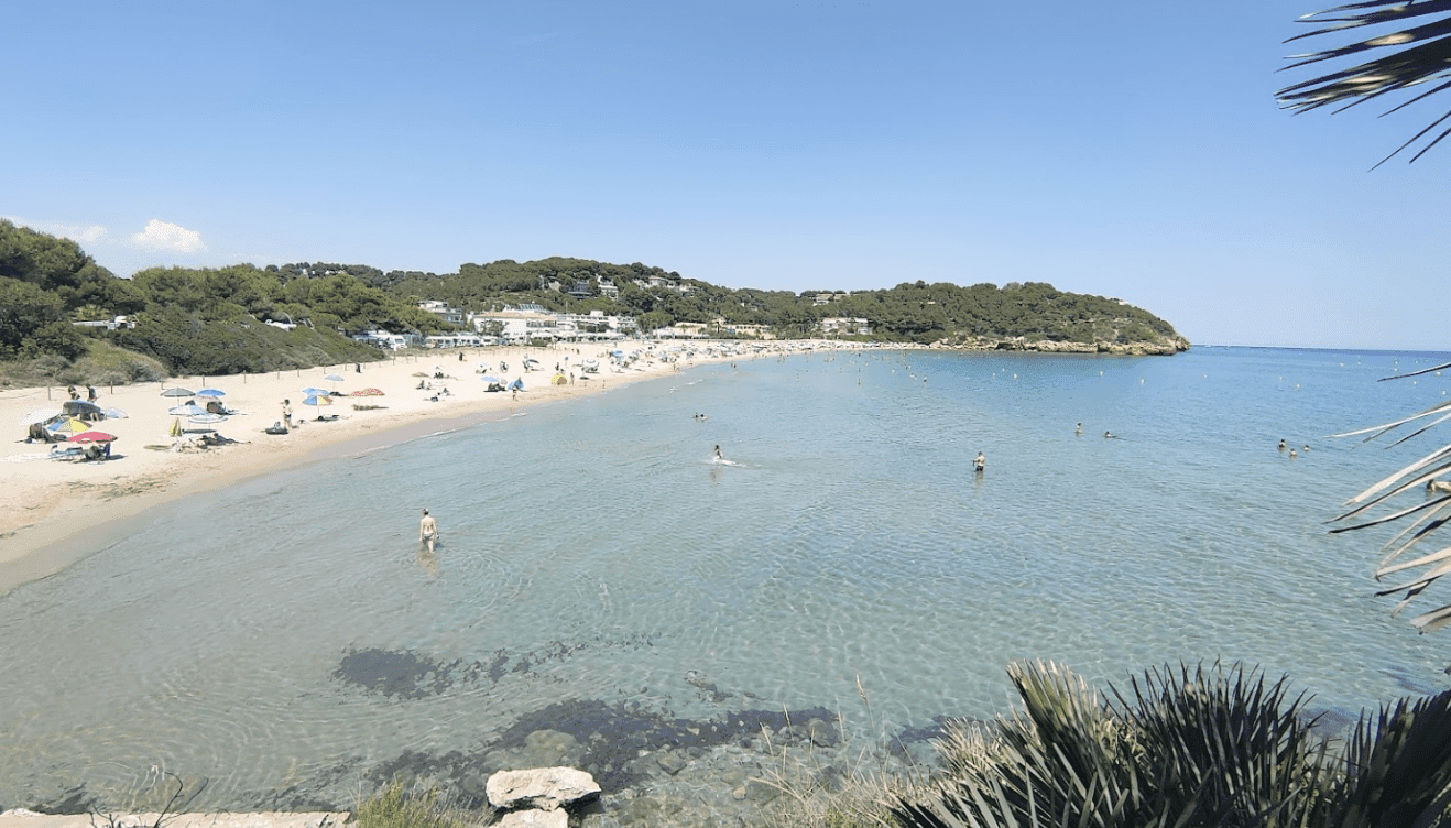 Festes de la Móra | Ioga infantil + Passejada i berenar