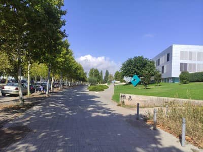 Avinguda Universitària