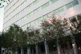 Taller 'Grup obert de l'hort'