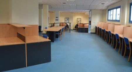 Introducci贸n a las enfermedades autoinmunes