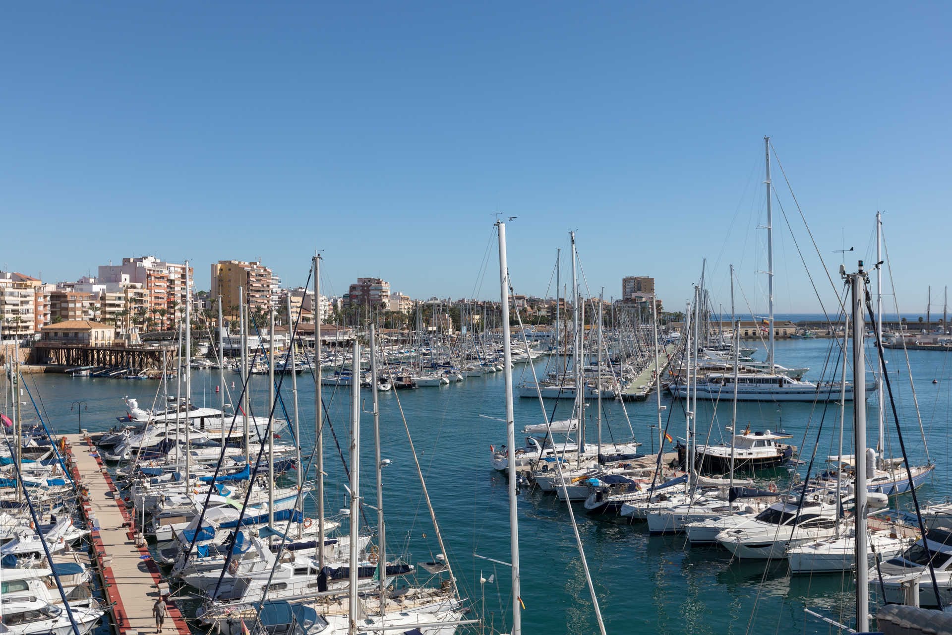 XV Regata Trofeo Pascual Flores