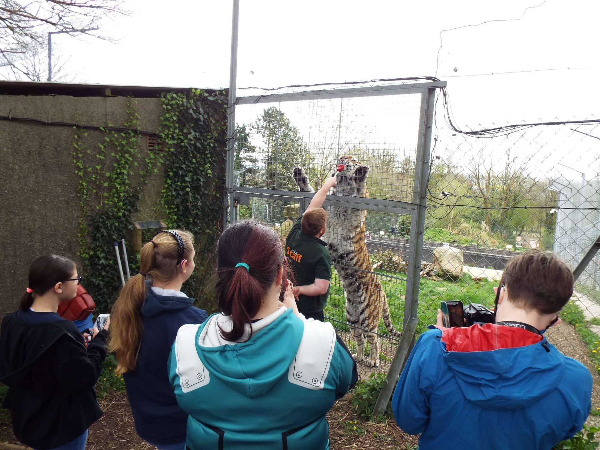 Dartmoor Zoo