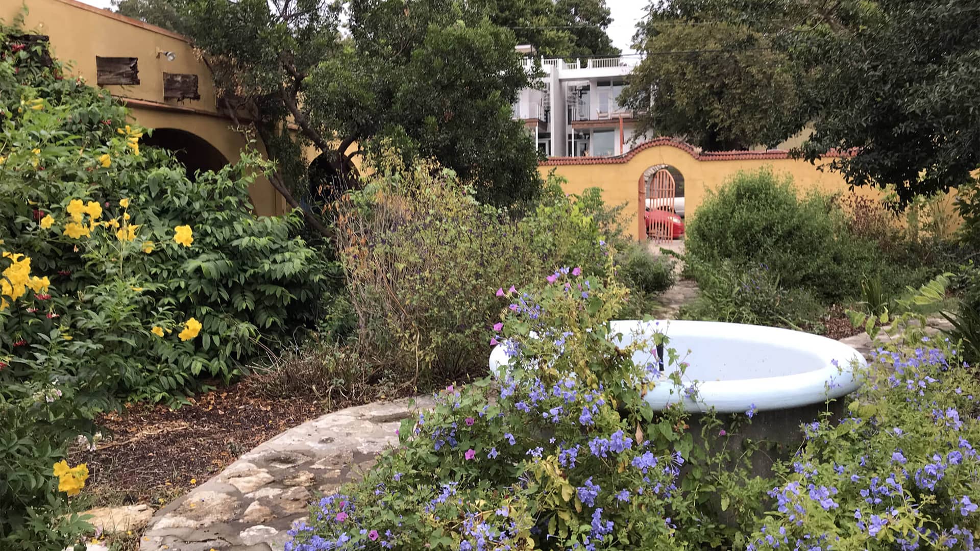 Fiesta Gardens