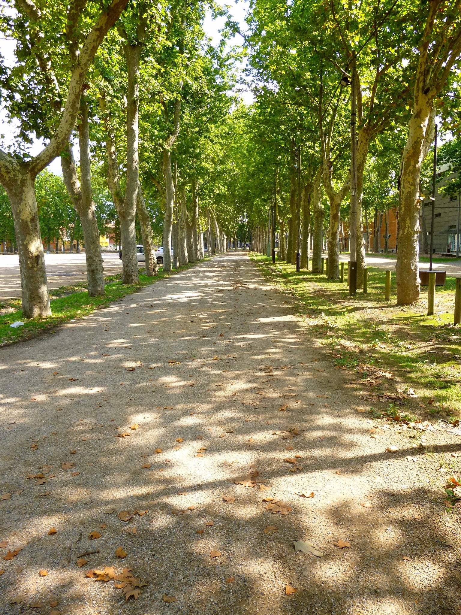 Passeig de la Sardana