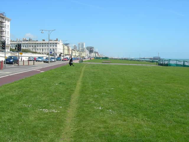 Brighton Half Marathon Youth Races