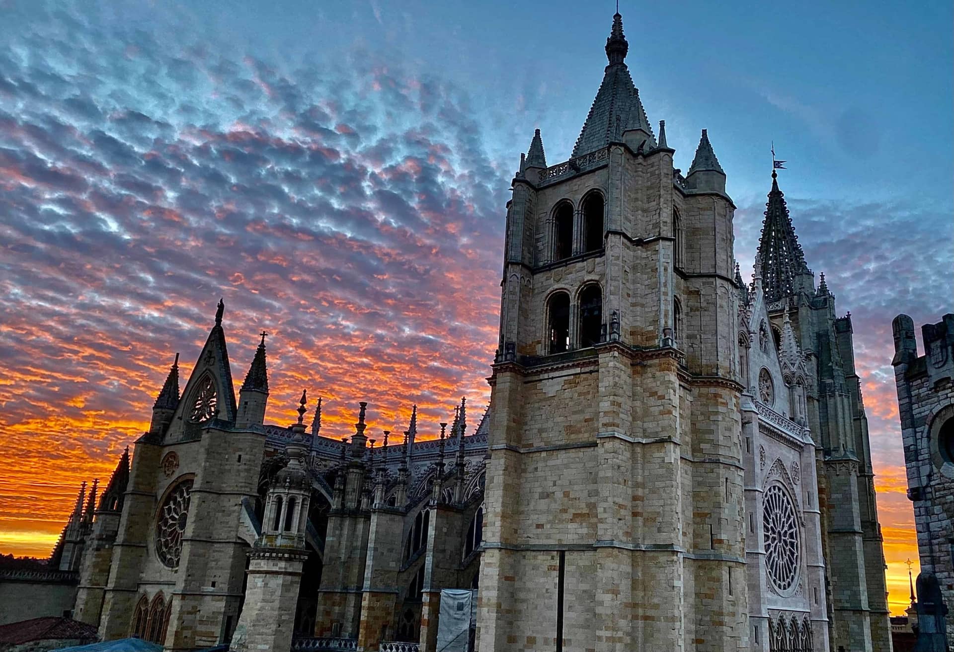 Catedral de León