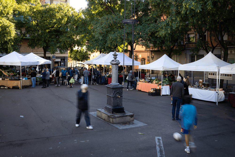 Nosaltres: 10a Setmana LGTBIAQ