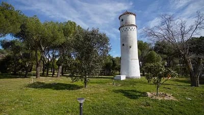 Mi primer huerto