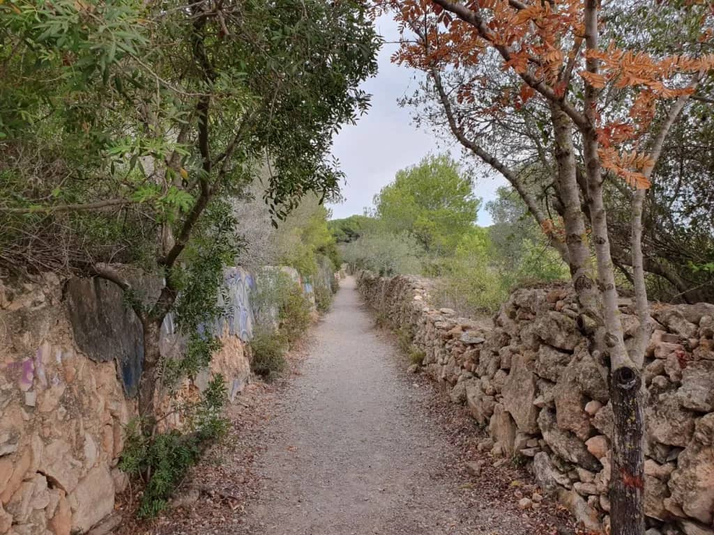 L'Ortoll
