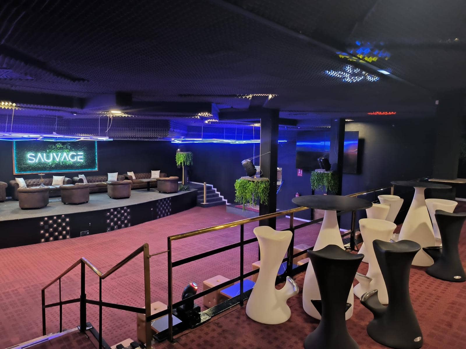 Club Sauvage